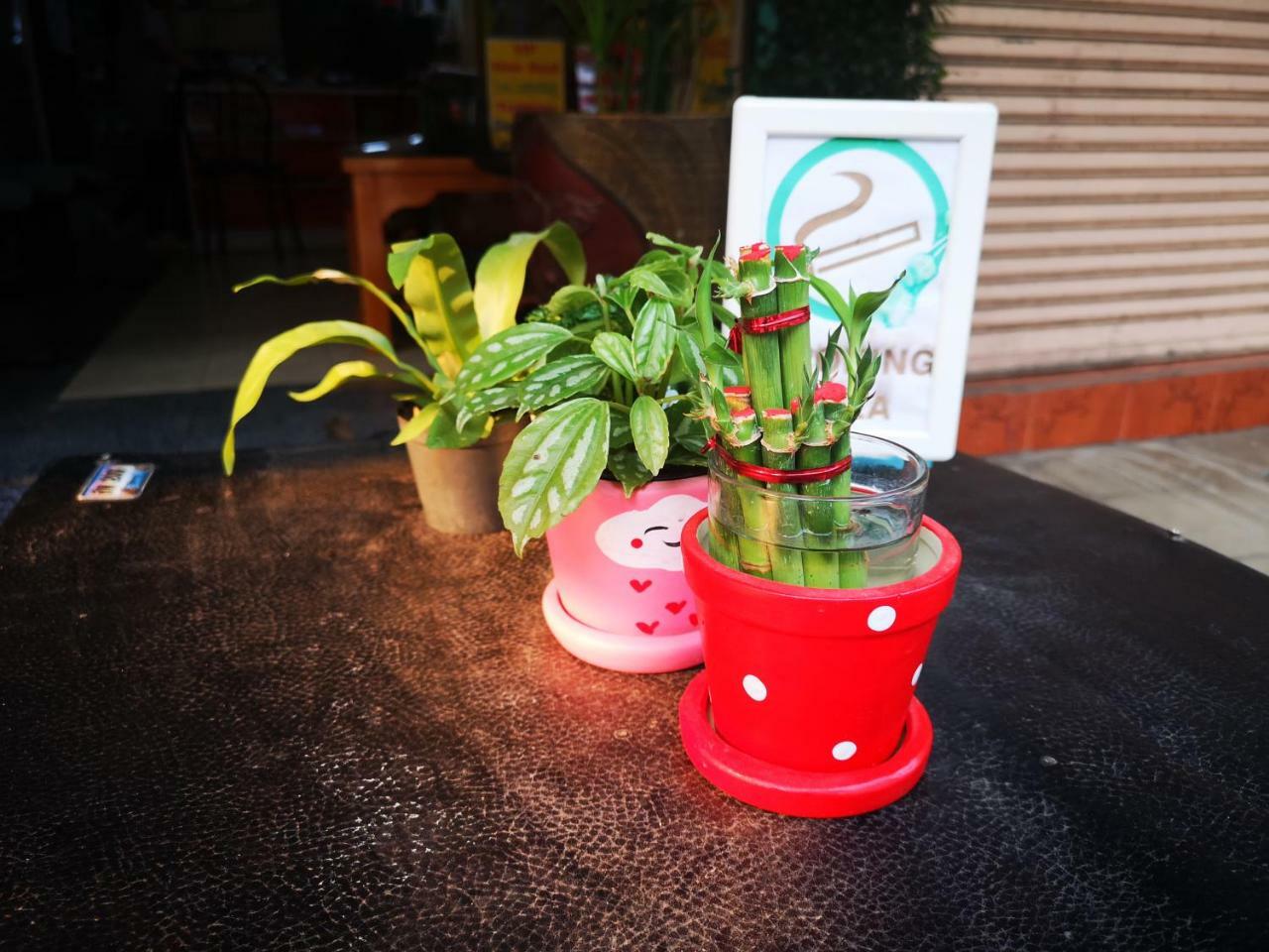 Sofia Hostel Chiang Rai Eksteriør bilde